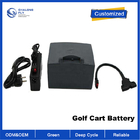 OEM ODM LiFePO4 lithium battery pack Custom Golf Trolley Battery 24v 10ah Remote Control Electric Scooter battery