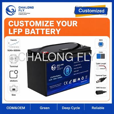 Custom 12.8V 50Ah LiFePO4 Battery Pack with Built-in BMS for RV Campervan and Auxiliary Power