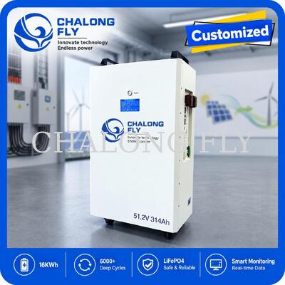 51.2V 300Ah 15.36kWh LiFePO4 Home Energy Storage Battery for Residential Energy Storage System