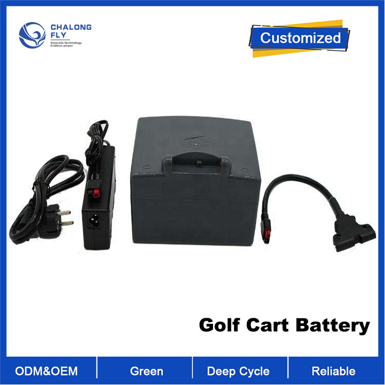OEM ODM LiFePO4 lithium battery pack Custom Golf Trolley Battery 24v 10ah Remote Control Electric Scooter battery