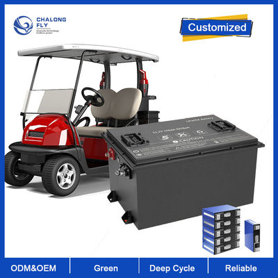 LiFePo4 OEM van de Lithiumbatterij ODM Navulbare 51.2V 60AH 105AH 150AH 200AH het Golfkar van Lithiumion battery pack for EV/RV