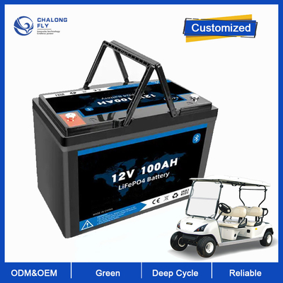 LiFePo4 OEM van de Cyclusbatterijen van de Lithiumbatterij 12V 100AH 200AH het Diepe ODM Fosfaat van het Lithiumijzer voor Zonne-energiesysteem