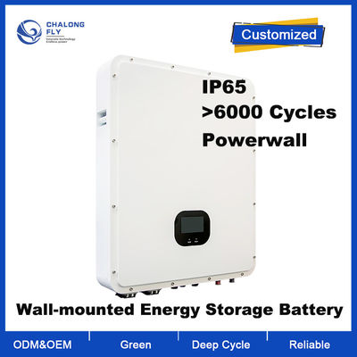 48V IP65 Waterdichte LiFePO4 Lithium Batterij Huishoudelijke Powerwall met 6000+ Cycli Levensduur Energieopslagsysteem
