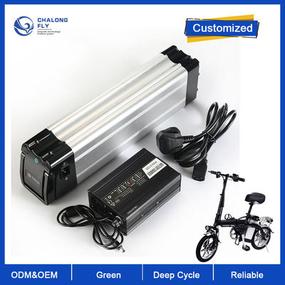 LiFePO4 Lithiumbatterij 24V 36V 48V 40AH 60AH Oplaadbare OEM ODM Lithium-Ion-batterijpakketten voor e-fiets / rolstoel