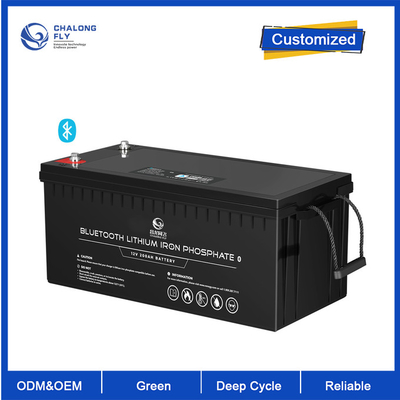 OEM ODM LiFePO4 de het Lithiumbatterij van de lithiumbatterij 12V 200Ah paste de batterijpakken aan van het batterijlithium