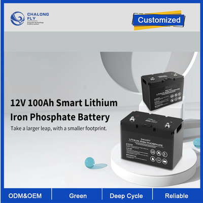 OEM ODM LiFePO4 van de het Lithiumbatterij van de lithiumbatterij 12V 100Ah paste de Slimme Diepe Cyclus de batterijpakken aan van het batterijlithium