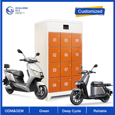 OEM ODM LiFePO4 de Autopedbatterij die van Lithiumebike de Snelle het laden Aangepaste batterij van het Postkabinet ruilen