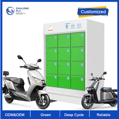 OEM ODM LiFePO4 Lithiumbatterij 5 Kamersbatterij die Aangepaste Post ruilen