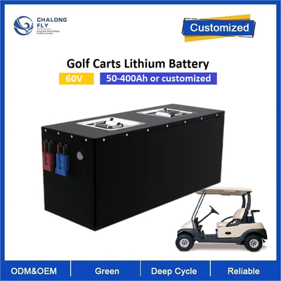 OEM 60V Lithium LiFePO4 OEM Power Battery Pack Met Vorklift AGV RGV Golf Cart Robot Motorfietsen Scooter Met 6000cycles