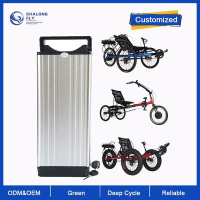 LiFePO4 van de de Douane24v 36V 48V Liggende Elektrische Trike Batterij 20AH-120AH van de Lithiumbatterij Elektrische de Batterijpakken Met drie wielen