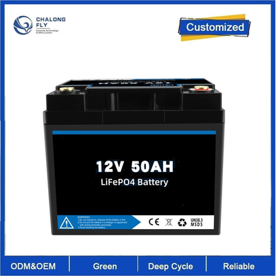 LiFepo4 Lithium Iron Phosphate batterijpakket 12v 100ah met Bms Voor RV elektrische auto scooter motorboot diepe cyclus