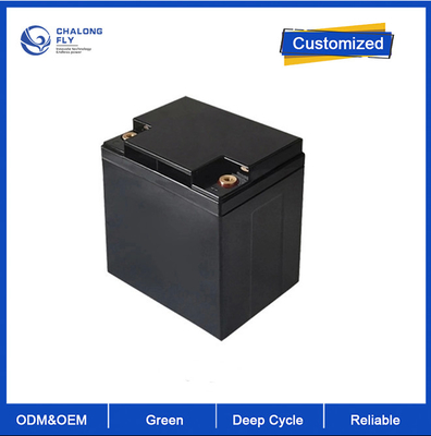 ODM OEM Aangepaste stekker type LiFePO4 Lithium Batterij 24V 48V 18Ah 36Ah 40Ah