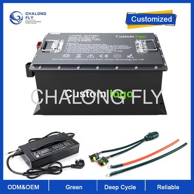 OEM ODM LiFePO4 MAX BMS 200A Golfkartenbatterij Elektrische Lithium Ion Batterijen High Capacity 51.2v 105ah