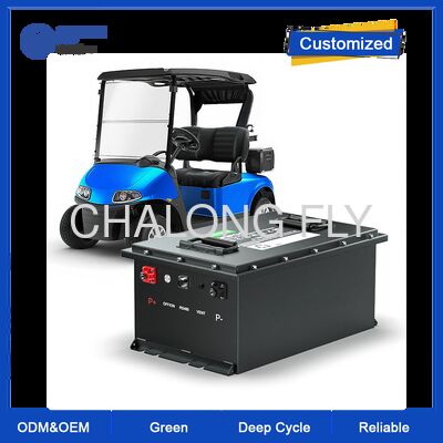 48V 100Ah Golfkar Lithium Batterij met Bluetooth en 4000 Cycli LiFePO4 Batterij voor Elektrische Golfkarren