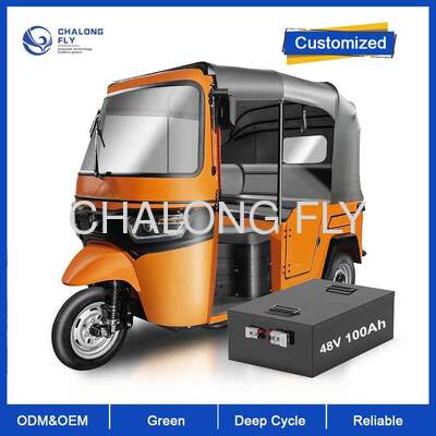 Hoogvermogen Lithium Ion LiFePO4 batterij 48V25AH 50AH 75AH 100AH Elektrische voertuig motorcontroller 2000W 3000W 5000W EV batterij