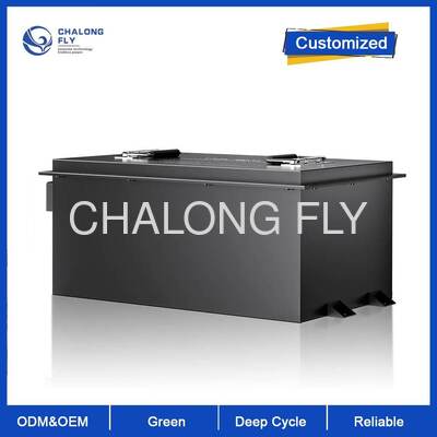 48V 150Ah LiFePO4 golfkar batterij met 4000 cycli lange levensduur en onderhoudsvrij ontwerp