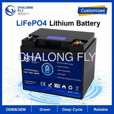 Op maat gemaakte 12,8V 50Ah LiFePO4-batterij met ingebouwde BMS voor camper en aanvullende stroom