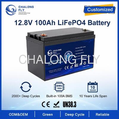Aangepaste 12,8V 100Ah LiFePO4 Batterijpakket met BMS voor Zonne straatverlichting en Camper Hulpvoeding