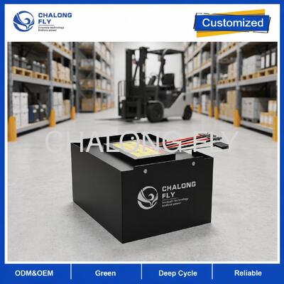 51.2V 608Ah LiFePO4 heftruckbatterij met 4G-monitoring en SOC-display