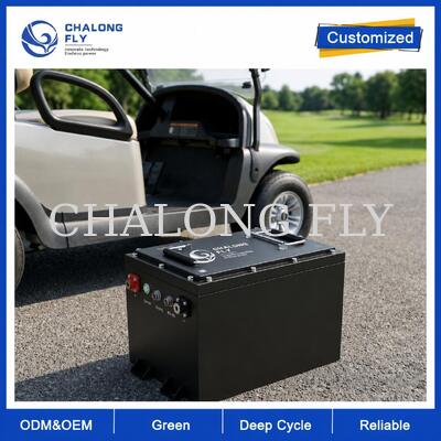 36V & 48V 105Ah LiFePO4 golfkar batterij met Smart BMS voor wagenparken