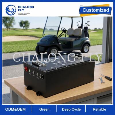 OEM ODM LiFePO4 golfkar batterij met aangepaste spanning aangepaste BMS en CAN communicatie