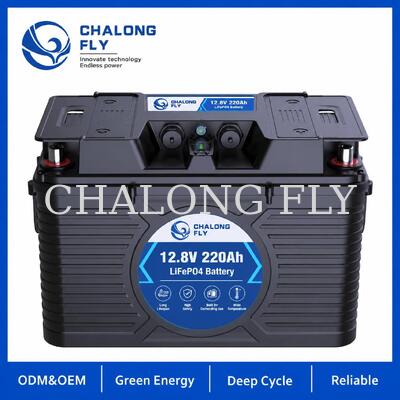 12,8V 220Ah NMEA 2000 Slimme LiFePO4 Maritieme Batterij met Victron Integratie