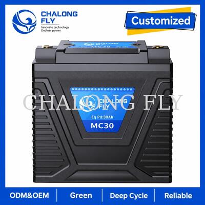 12.8V 10Ah LiFePO4 motorfiets starterbatterij 600A voor 15 ¢ 30Ah loodzuur vervanging