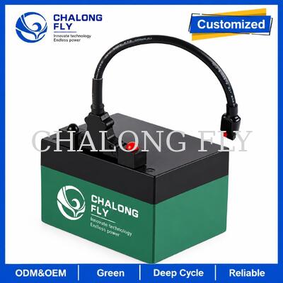 12.8V 18Ah 24Ah LiFePO4 Golftrolleyaccu met T-Bar Connector