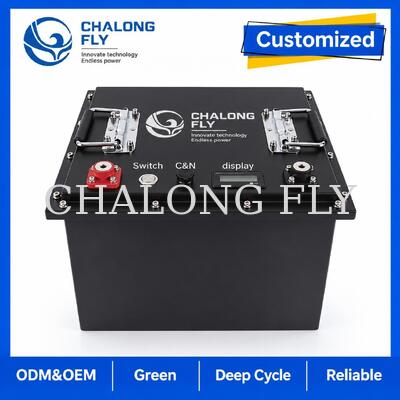 OEM LiFePO4-batterij op maat met Smart BMS en metalen behuizing voor DC schaarlift en hoogwerker