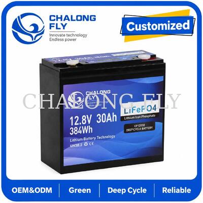 12,8V 30Ah LiFePO4 Deep Cycle Batterij met 384Wh Energie en Smart BMS voor 12V Systemen
