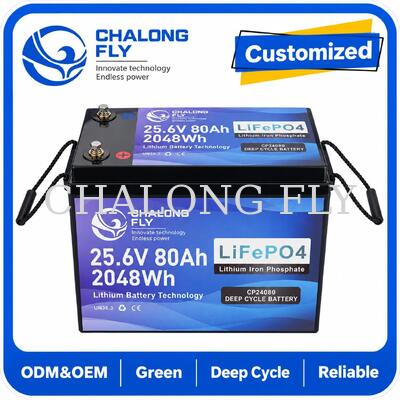 25.6V 70Ah LiFePO4-batterij met Bluetooth-afstandsdiagnostiek en 1.792kWh voor scooters en rolstoelen