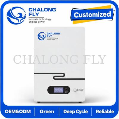 48V 51.2V 5kWh 10kWh LiFePO4 Residential Energy Storage Battery voor Solar Home Battery Systems