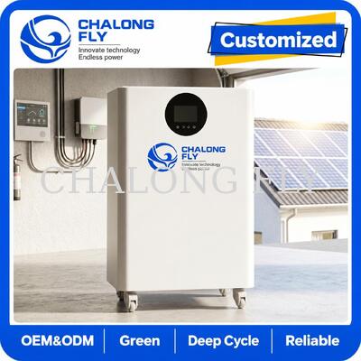 16kWh LiFePO4 All-in-One Zonne-energieopslagsysteem met 12kW Hybride Omvormer voor Residentieel Energieopslagsysteem