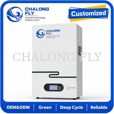 Wandmontage 51,2V LiFePO4 Residentieel Energieopslagsysteem Thuis Zonnebatterij voor Noodstroom